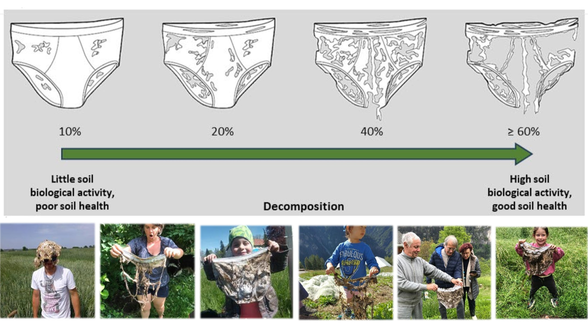 Diagram shows underwear decomposition stages from 10% to over 60%. Photos below depict people holding decomposed underwear.