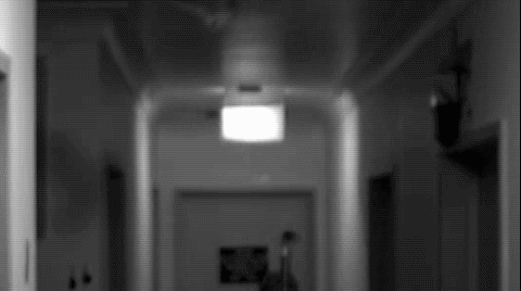 A bat flies down a hallway, then walks on the ground